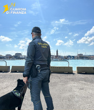 Civitanova Marche - Controlli antidroga della Finanza, due denunce e un arresto